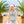 Load image into Gallery viewer, SMES Happy Sharkmas