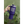 Load image into Gallery viewer, CCHS Wildcat Band 40oz Tumbler