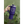 Load image into Gallery viewer, CCHS Wildcat Band 40oz Tumbler