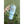 Load image into Gallery viewer, CCHS Wildcat Band 40oz Tumbler
