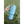 Load image into Gallery viewer, CCHS Wildcat Band 40oz Tumbler