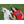 Load image into Gallery viewer, CRES Adult River Tee