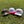Load image into Gallery viewer, Dawgs Hat
