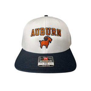 Photoroom_000_20251114_101328