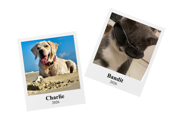 Tails Of Hope- Polaroid Fridge Magnet