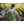 Load image into Gallery viewer, Troop 226 Eagle Tee
