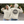 Load image into Gallery viewer, both-sides-view-mockup-of-a-couple-pointing-at-their-pullover-hoodies-29788_2
