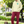 Load image into Gallery viewer, Tails Of Hope- Support Your Local Animal Shelter Hoodie
