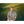 Load image into Gallery viewer, sport-polo-shirt-mockup-of-an-ai-generated-man-posing-in-a-golf-field-m50903
